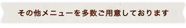 その他多数メニューをご用意