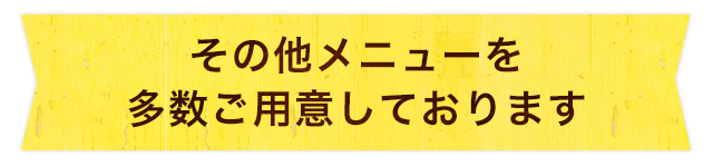 その他メニューを多数ご用意しております